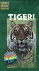 Смотреть фильм Tiger! (1997) онлайн 