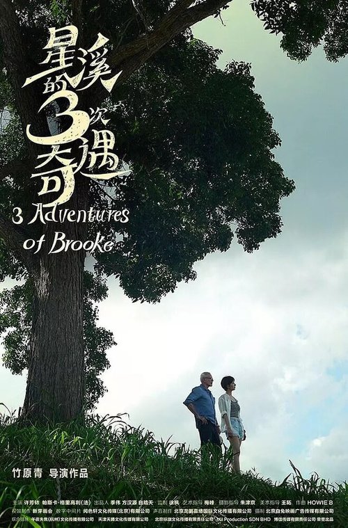 Смотреть фильм Три приключения Брук / Three Adventures of Brooke (2018) онлайн в хорошем качестве HDRip