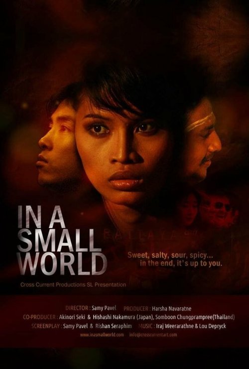 Смотреть фильм В маленьком мире / In a Small World (2012) онлайн в хорошем качестве HDRip
