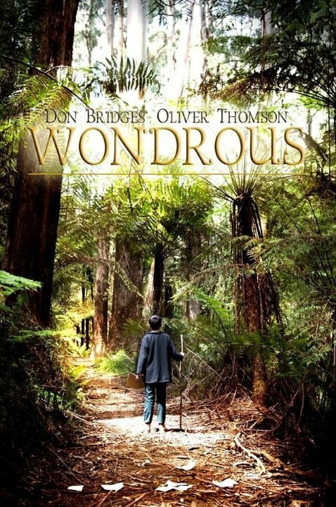 Смотреть фильм Wondrous (2014) онлайн 