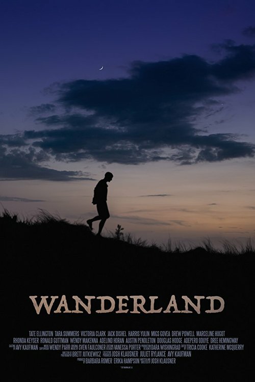 Смотреть фильм Зачарованный город / Wanderland (2018) онлайн в хорошем качестве HDRip