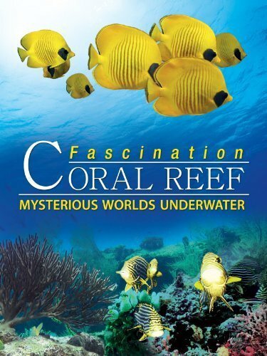 Смотреть фильм Коралловый риф: Удивительные подводные миры / Fascination Coral Reef: Mysterious Worlds Underwater (2012) онлайн в хорошем качестве HDRip