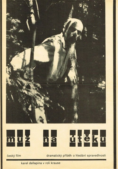 Смотреть фильм Muz na úteku (1969) онлайн в хорошем качестве SATRip