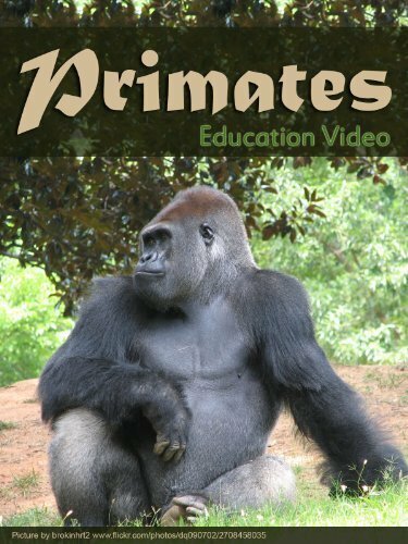Смотреть фильм Primats (1997) онлайн в хорошем качестве HDRip