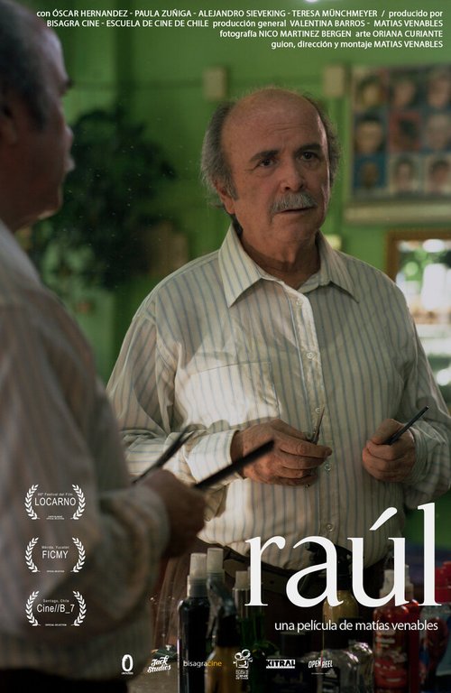 Смотреть фильм Рауль / Raúl (2015) онлайн в хорошем качестве HDRip