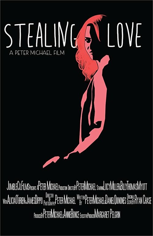 Смотреть фильм Stealing Love (2017) онлайн 