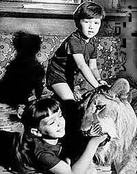 Смотреть фильм У меня есть лев (1975) онлайн в хорошем качестве SATRip