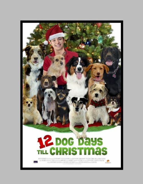 Смотреть фильм 12 Dog Days of Christmas (2014) онлайн в хорошем качестве HDRip