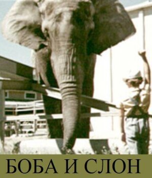 Смотреть фильм Боба и слон (1972) онлайн в хорошем качестве SATRip