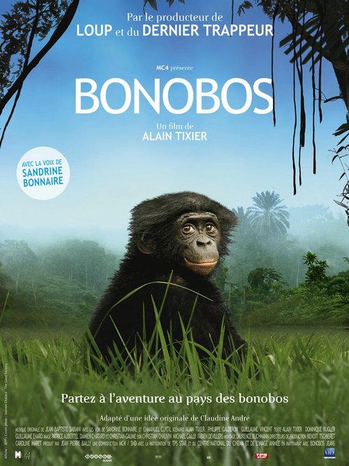 Бонобо / Bonobos