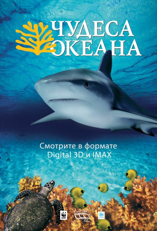 Смотреть фильм Чудеса океана 3D / Ocean Wonderland (2003) онлайн в хорошем качестве HDRip