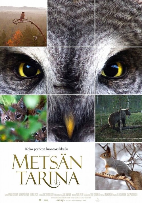 Смотреть фильм Чудесный лес / Metsän tarina (2012) онлайн в хорошем качестве HDRip