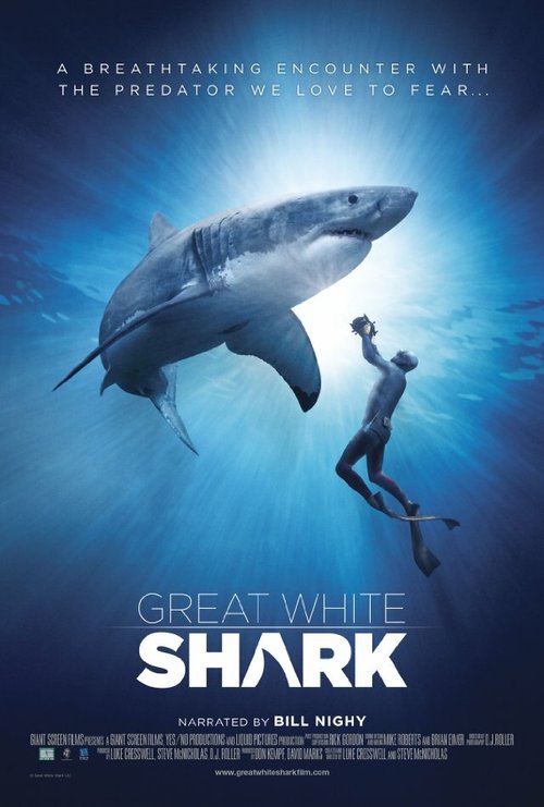 Смотреть фильм Great White Shark (2013) онлайн в хорошем качестве HDRip