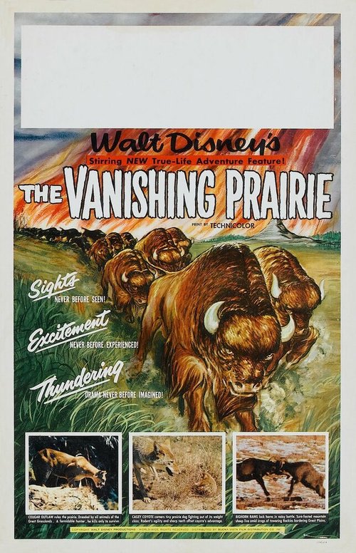 Смотреть фильм Исчезающая прерия / The Vanishing Prairie (1954) онлайн в хорошем качестве SATRip