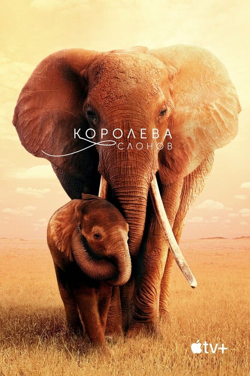 Смотреть фильм Королева слонов / The Elephant Queen (2018) онлайн в хорошем качестве HDRip