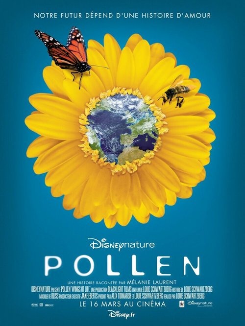 Смотреть фильм Крылья жизни: Скрытая красота / Pollen (2011) онлайн в хорошем качестве HDRip