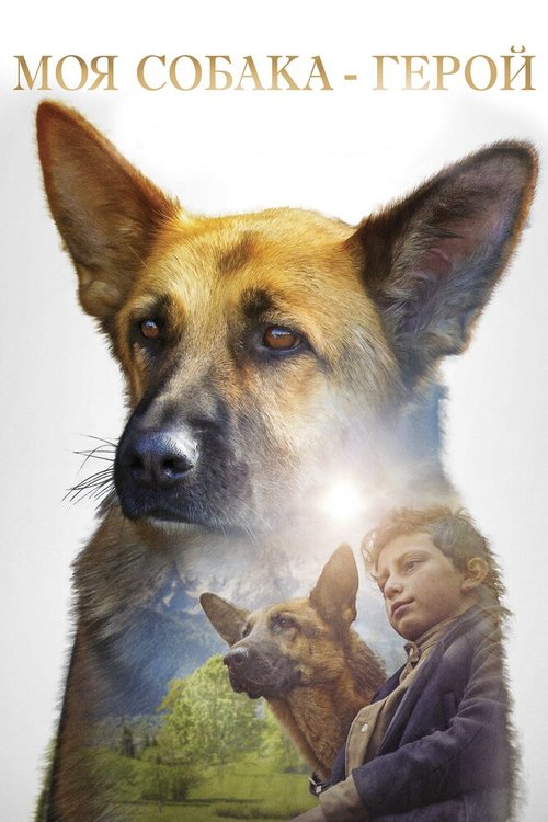 Смотреть фильм Моя собака — герой / Shepherd: The Story of a Jewish Dog (2018) онлайн в хорошем качестве HDRip