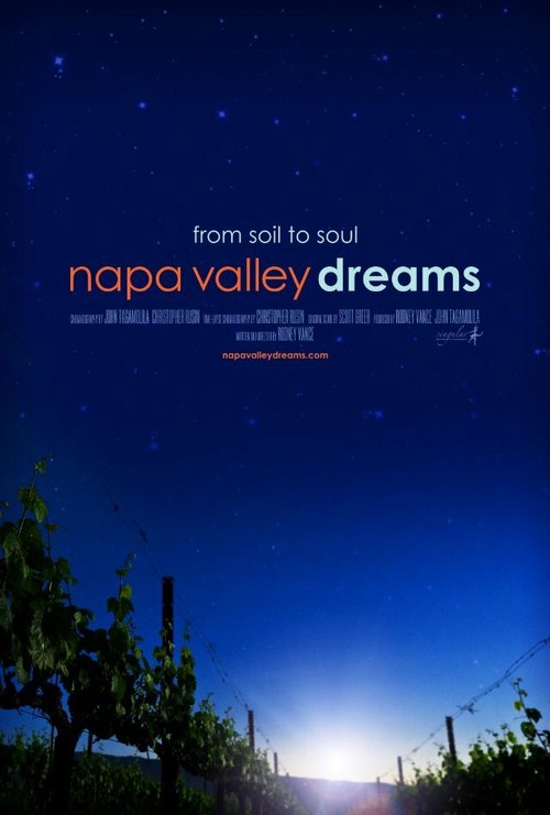 Смотреть фильм Napa Valley Dreams (2013) онлайн в хорошем качестве HDRip