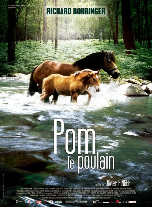 Смотреть фильм Pom, le poulain (2006) онлайн в хорошем качестве HDRip