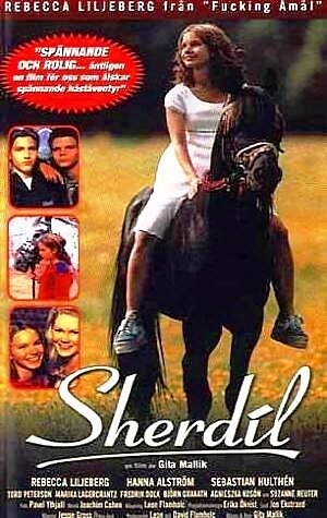 Смотреть фильм Sherdil (1999) онлайн в хорошем качестве HDRip