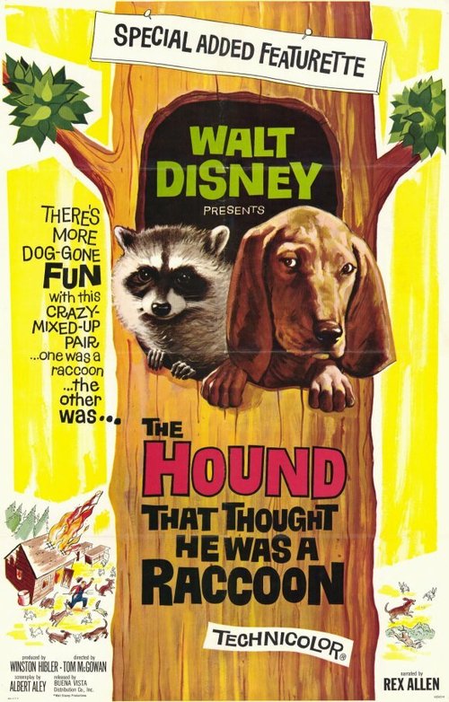Смотреть фильм Собака, которая думала, что была енотом / The Hound That Thought He Was a Raccoon (1960) онлайн в хорошем качестве SATRip
