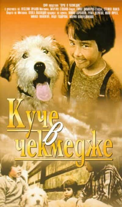 Смотреть фильм Собака в ящике / Kuche v chekmedzhe (1982) онлайн в хорошем качестве SATRip