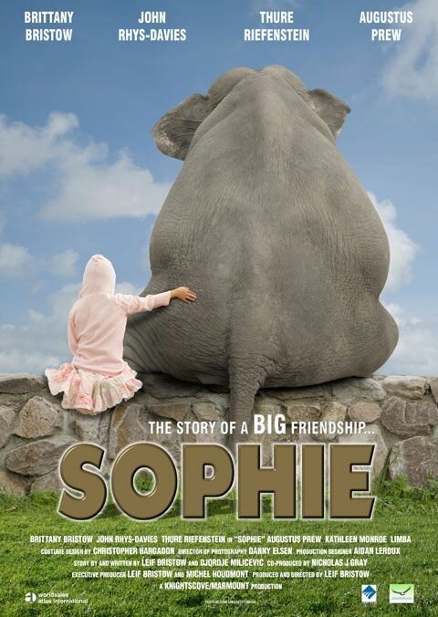 Смотреть фильм Софи / Sophie (2010) онлайн в хорошем качестве HDRip