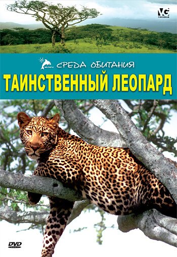 Таинственный леопард / The Secret Leopard