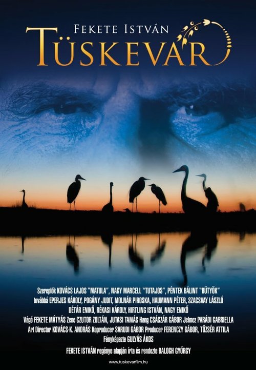 Смотреть фильм Терновая крепость / Tüskevár (2012) онлайн в хорошем качестве HDRip