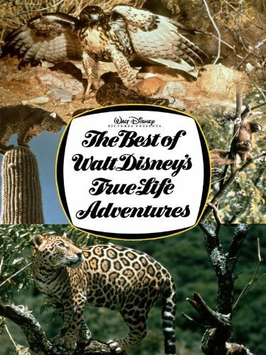 Смотреть фильм The Best of Walt Disney's True-Life Adventures (1975) онлайн в хорошем качестве SATRip