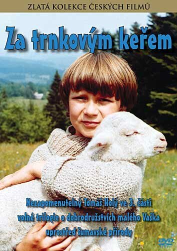 Смотреть фильм За кустами терновника / Za trnkovym kerem (1982) онлайн в хорошем качестве SATRip