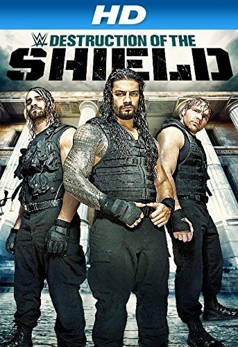 Смотреть фильм Journey to SummerSlam: The Destruction of the Shield (2014) онлайн в хорошем качестве HDRip