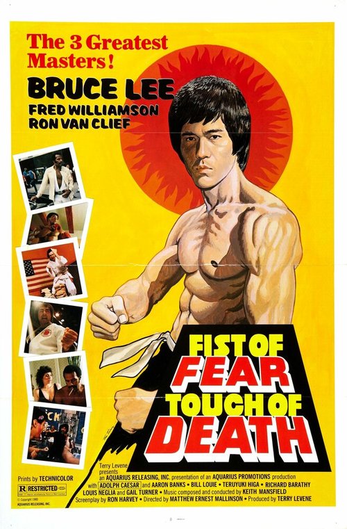 Смотреть фильм Касание смерти / Fist of Fear, Touch of Death (1980) онлайн в хорошем качестве SATRip