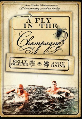 Смотреть фильм Муха в шампанском / A Fly in the Champagne (2009) онлайн в хорошем качестве HDRip
