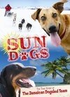 Смотреть фильм Sun Dogs (2006) онлайн в хорошем качестве HDRip