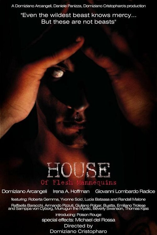 Смотреть фильм Дом из плоти манекенов / House of Flesh Mannequins (2009) онлайн в хорошем качестве HDRip