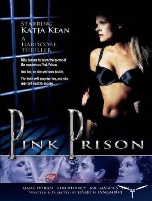 Смотреть фильм Розовая тюрьма / Pink Prison (1999) онлайн в хорошем качестве HDRip